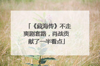 《藏海传》不走爽剧套路，肖战贡献了一半看点