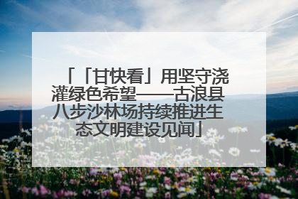 「甘快看」用坚守浇灌绿色希望——古浪县八步沙林场持续推进生态文明建设见闻