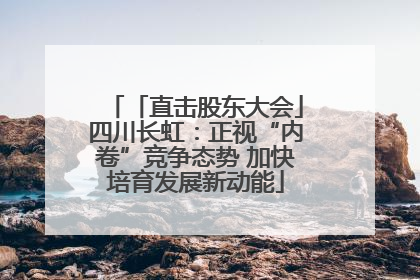 「直击股东大会」四川长虹：正视“内卷”竞争态势 加快培育发展新动能