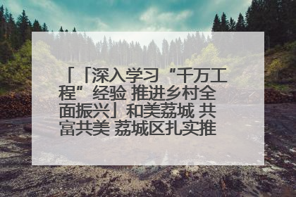 「深入学习“千万工程”经验 推进乡村全面振兴」和美荔城 共富共美 荔城区扎实推进乡村振兴工作
