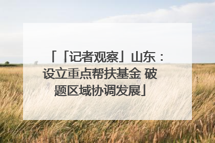 「记者观察」山东：设立重点帮扶基金 破题区域协调发展