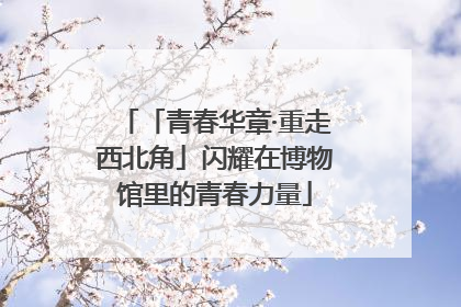 「青春华章·重走西北角」闪耀在博物馆里的青春力量