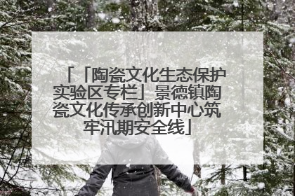 「陶瓷文化生态保护实验区专栏」景德镇陶瓷文化传承创新中心筑牢汛期安全线