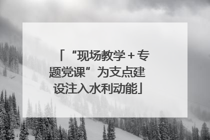 “现场教学＋专题党课”为支点建设注入水利动能