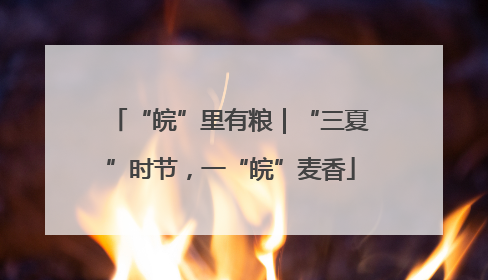 “皖”里有粮｜“三夏”时节，一“皖”麦香