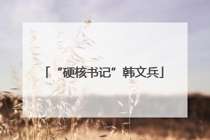 “硬核书记”韩文兵