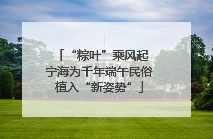 “粽叶”乘风起 宁海为千年端午民俗植入“新姿势”