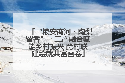“粮安商河・陶梨留香”：三产融合赋能乡村振兴 跨村联建绘就共富画卷