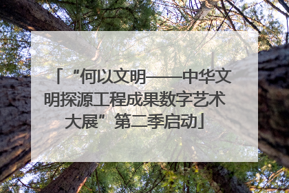 “何以文明——中华文明探源工程成果数字艺术大展”第二季启动