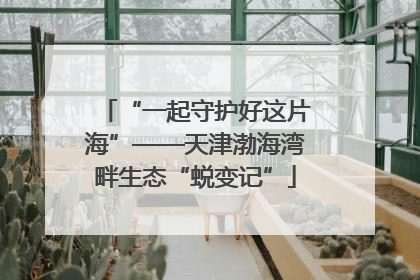“一起守护好这片海”——天津渤海湾畔生态“蜕变记”
