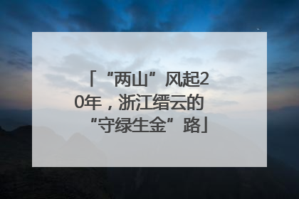 “两山”风起20年，浙江缙云的“守绿生金”路