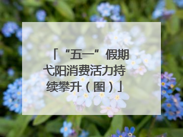 “五一”假期弋阳消费活力持续攀升（图）