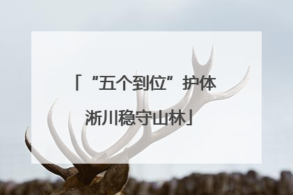 “五个到位”护体 淅川稳守山林