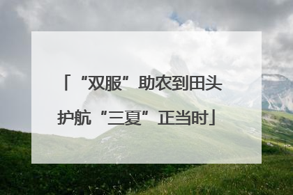 “双服”助农到田头 护航“三夏”正当时