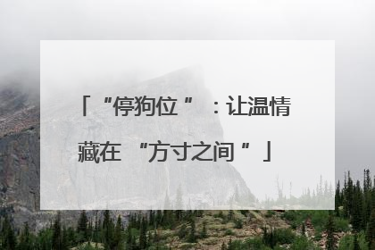 “停狗位 ”：让温情藏在 “方寸之间 ”