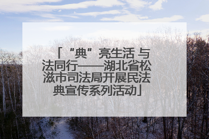 “典”亮生活 与法同行——湖北省松滋市司法局开展民法典宣传系列活动
