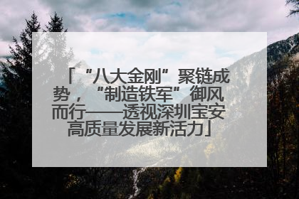 “八大金刚”聚链成势，“制造铁军”御风而行——透视深圳宝安高质量发展新活力