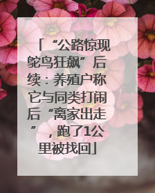 “公路惊现鸵鸟狂飙”后续：养殖户称它与同类打闹后“离家出走”，跑了1公里被找回