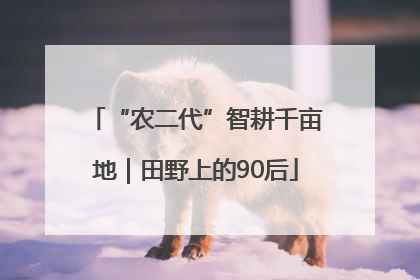 “农二代”智耕千亩地｜田野上的90后