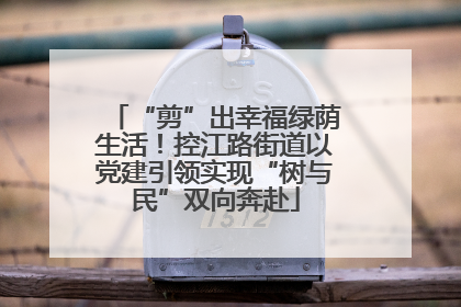 “剪”出幸福绿荫生活！控江路街道以党建引领实现“树与民”双向奔赴