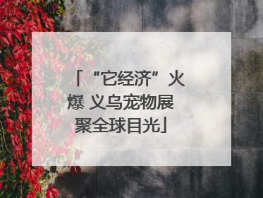 “它经济”火爆 义乌宠物展聚全球目光