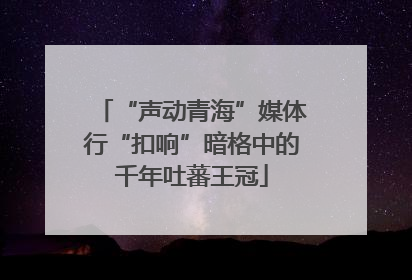 “声动青海”媒体行“扣响”暗格中的千年吐蕃王冠