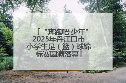 “奔跑吧·少年”2025年丹江口市小学生足（篮）球锦标赛圆满落幕
