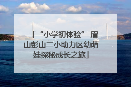 “小学初体验” 眉山彭山二小助力区幼萌娃探秘成长之旅