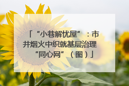 “小巷解忧屋”：市井烟火中织就基层治理“同心网”（图）