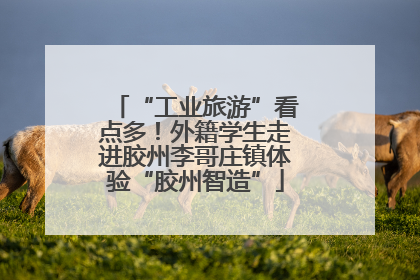 “工业旅游”看点多！外籍学生走进胶州李哥庄镇体验“胶州智造”