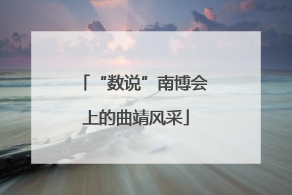“数说”南博会上的曲靖风采