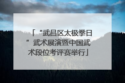“武昌区太极拳日”武术展演暨中国武术段位考评赛举行