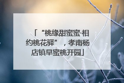 “桃缘甜蜜蜜·相约桃花驿”，孝南杨店镇早蜜桃开园