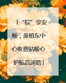 “棕”享安畅，桑植东中心收费站暖心护航高速路
