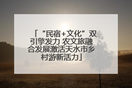 “民宿+文化”双引擎发力 农文旅融合发展激活天水市乡村游新活力