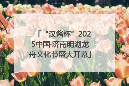 “汉酱杯”2025中国·济南明湖龙舟文化节盛大开幕