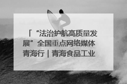 “法治护航高质量发展”全国重点网络媒体青海行｜青海食品工业协会：架起“青字号”美食的产业化桥梁