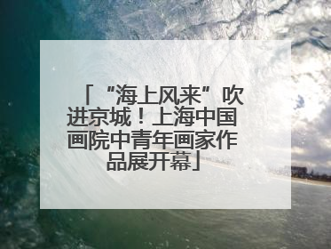 “海上风来”吹进京城！上海中国画院中青年画家作品展开幕