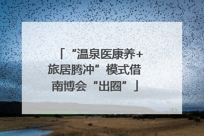 “温泉医康养+旅居腾冲”模式借南博会“出圈”