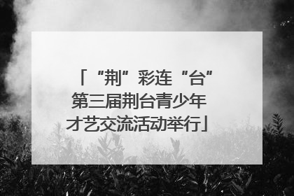 “荆”彩连“台” 第三届荆台青少年才艺交流活动举行