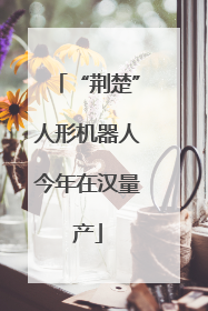 “荆楚”人形机器人今年在汉量产