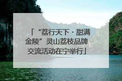 “荔行天下・甜满金陵”灵山荔枝品牌交流活动在宁举行