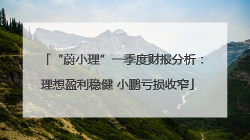 “蔚小理”一季度财报分析：理想盈利稳健 小鹏亏损收窄