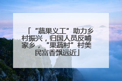 “蔬果义工”助力乡村振兴，归国人员反哺家乡，“果蔬村”村美民富香飘远近