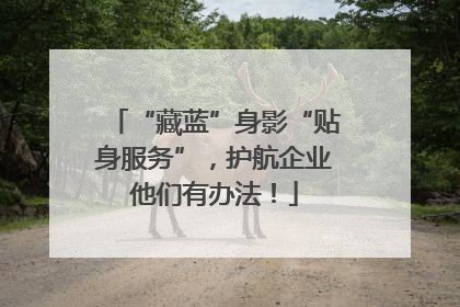 “藏蓝”身影“贴身服务”，护航企业他们有办法！