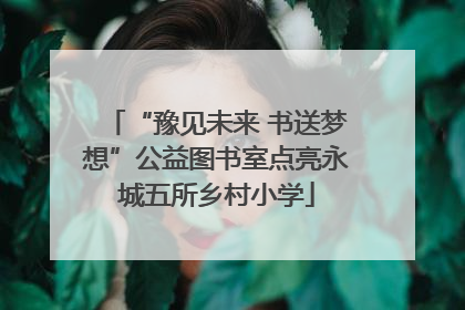 “豫见未来 书送梦想”公益图书室点亮永城五所乡村小学