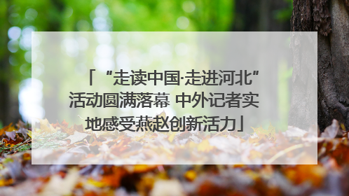 “走读中国·走进河北”活动圆满落幕 中外记者实地感受燕赵创新活力
