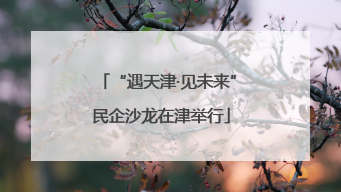 “遇天津·见未来”民企沙龙在津举行