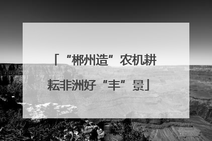 “郴州造”农机耕耘非洲好“丰”景
