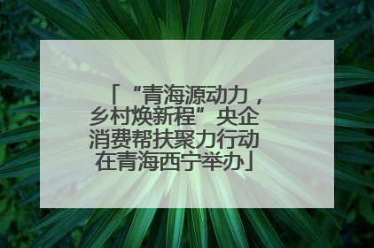 “青海源动力，乡村焕新程”央企消费帮扶聚力行动在青海西宁举办